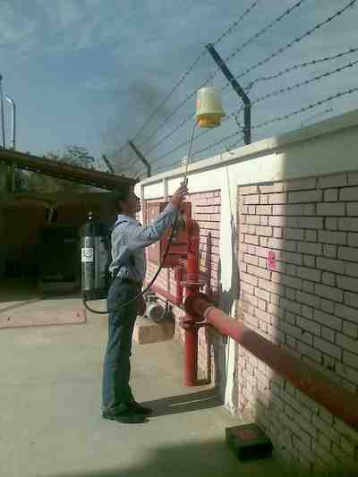 اسيوط لابادة الحشرات