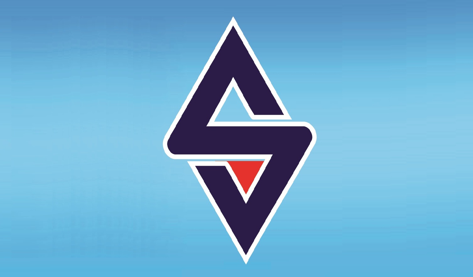 شركة سيتى سيرفيس للأمن والحراسة والخدمات المتكاملة 