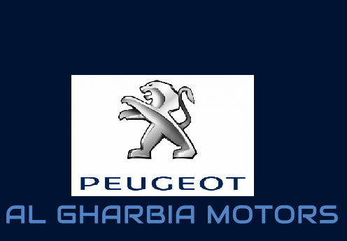 Western Motors Engineer Mostafa Shawky