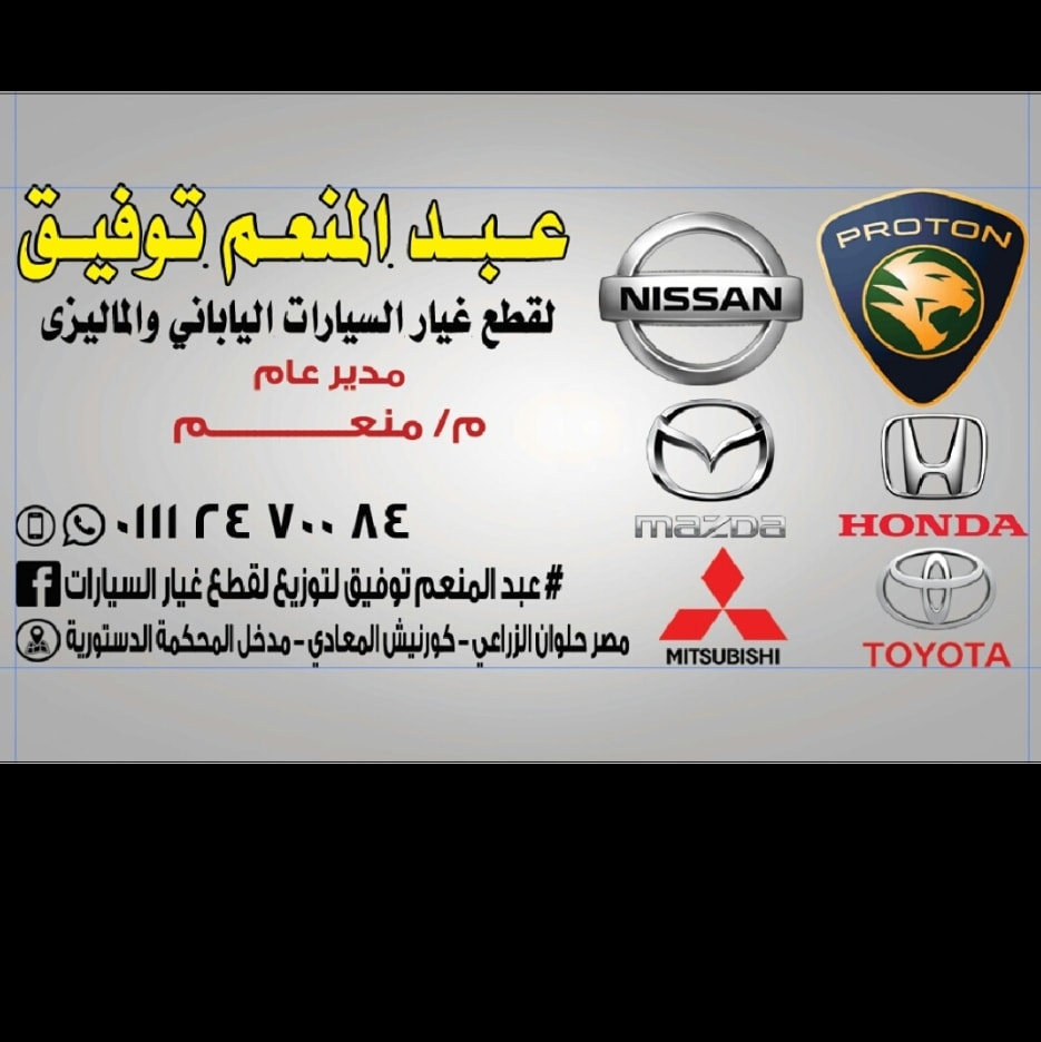 Abdel Moneim Tawfik for Burton Auto Parts. Lancer.Nissan