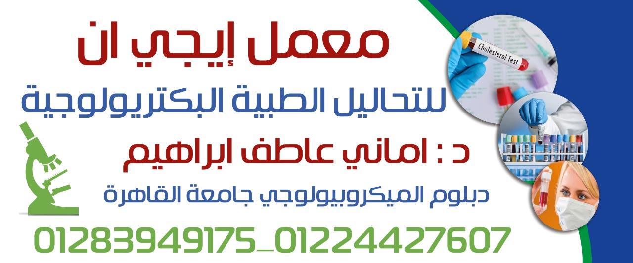 معمل ايجي ان فيصل وهرم