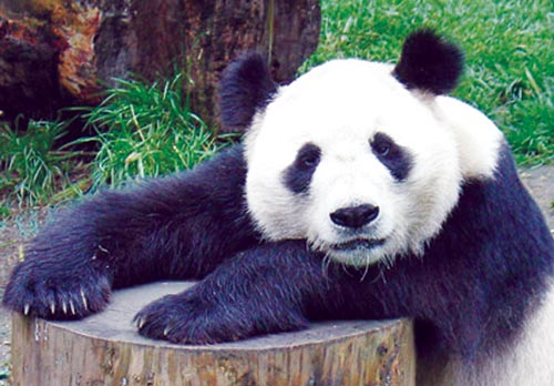Zoos