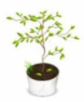 Landscaping & Equipment