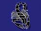 Scorpion Security Services