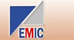 Security Systems - Electro Misr International