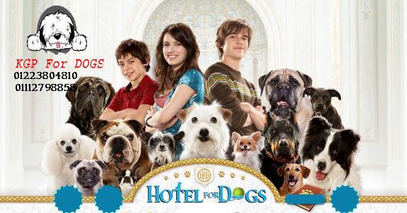 KGP Dogs