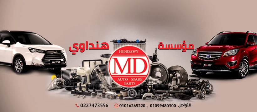 Hendawy Foundation